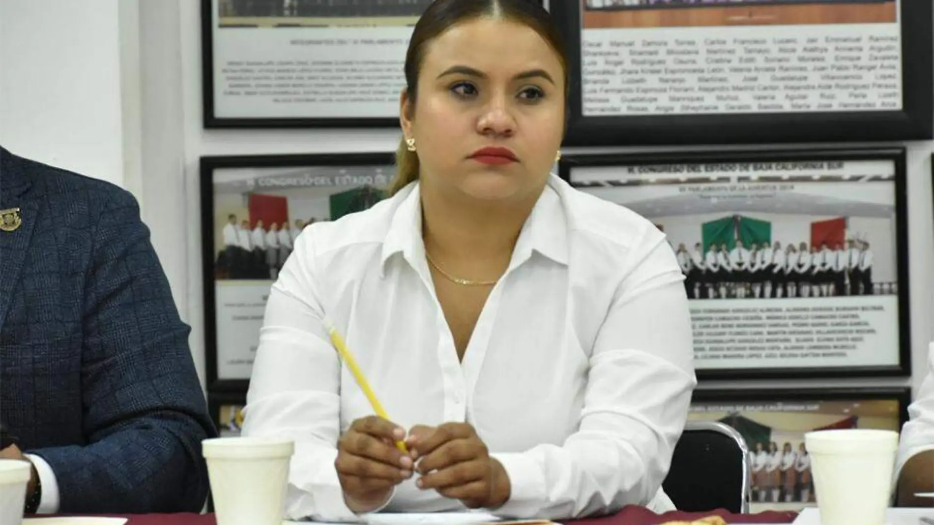 Diputada Guadalupe Vazquez Jacinto